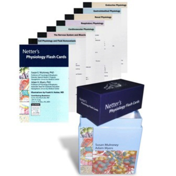 Netter Physiology Flash Cards