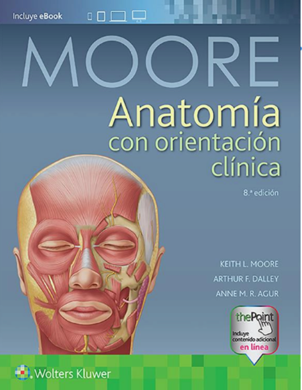 anatomia con orientacion clinica de moore 4ta edicion pdf
