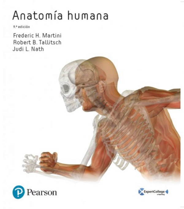 Martini. Anatomía Humana