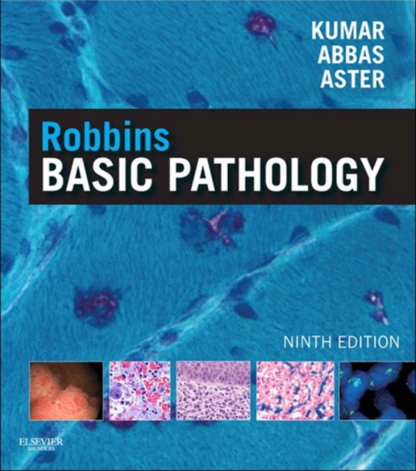 Robbins Basic Pathology (ebook)