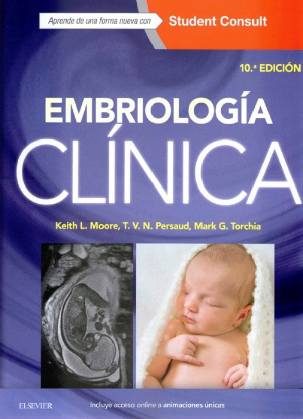 Embriologia Clinica Moore Pdf Descargar