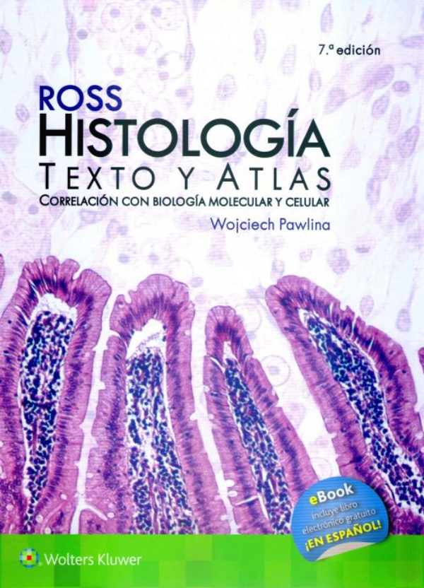 Histologa Texto y Atlas Color 6a edicin Ross - Identi