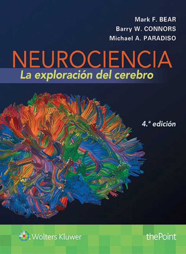 Bear. Neurociencia