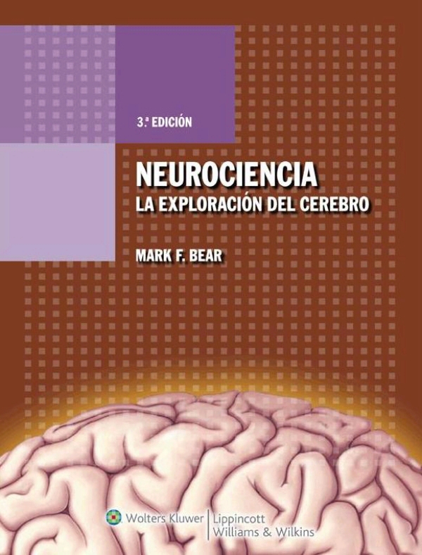 Bear. Neurociencia La Exploración Del Cerebro