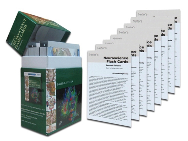 Netter Neuroscience Flash Cards - 