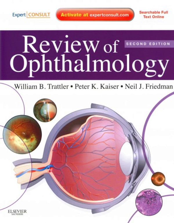 ophthalmology essay prize