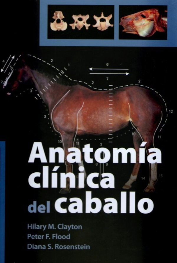 Clayton Anatomía Clínica Del Caballo 8981